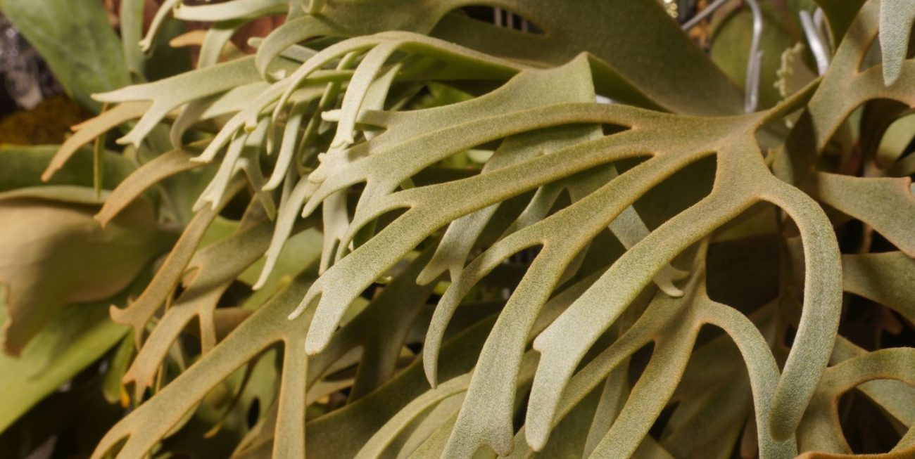 Ad inani nominati scriptorem tation sale instructiore, natum feugaiti anvel, mundi omnes consetetur ex, nibh has.