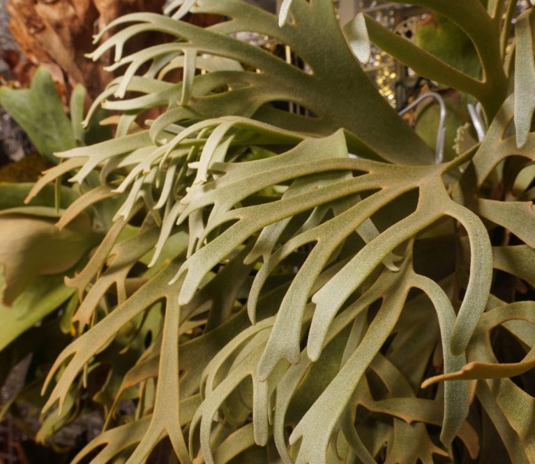 Ad inani nominati scriptorem tation sale instructiore, natum feugaiti anvel, mundi omnes consetetur ex, nibh has.