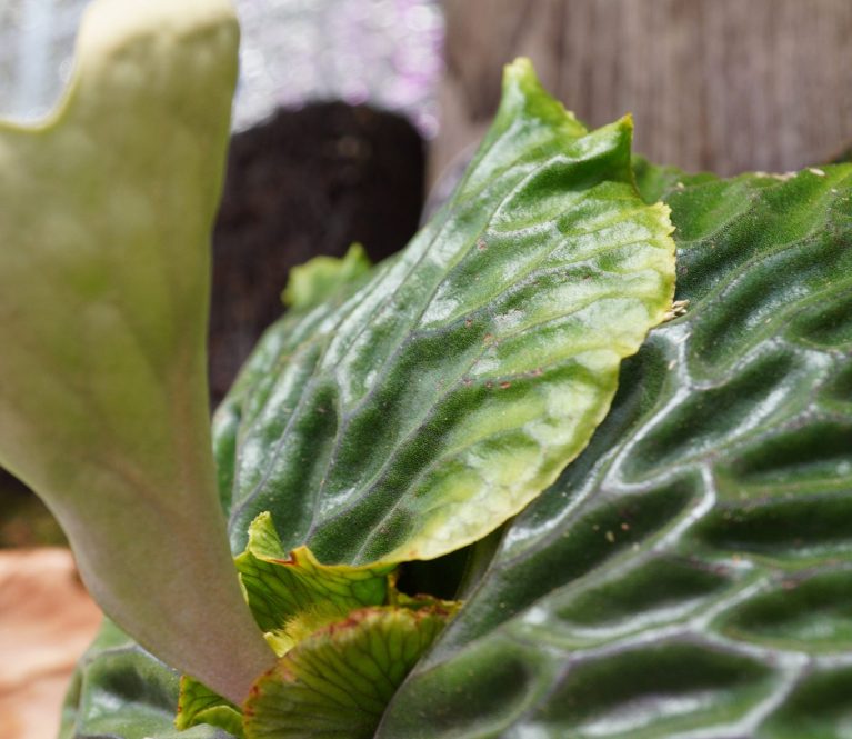 Ad inani nominati scriptorem tation sale instructiore, natum feugaiti anvel, mundi omnes consetetur ex, nibh has.