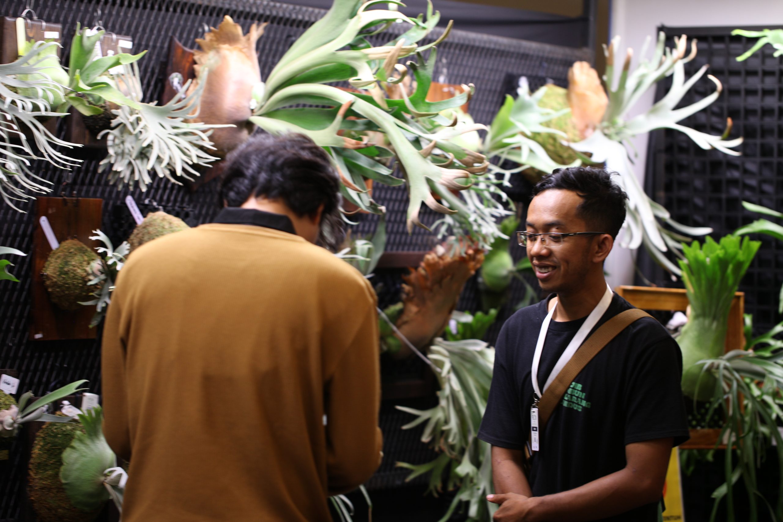 MyPlaty helps you build a meaningful collection — balancing rarity, beauty, and harmony.